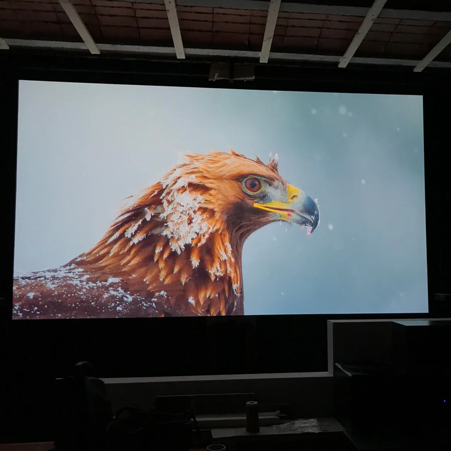 Higher image quality projected on ambient light rejecting paint